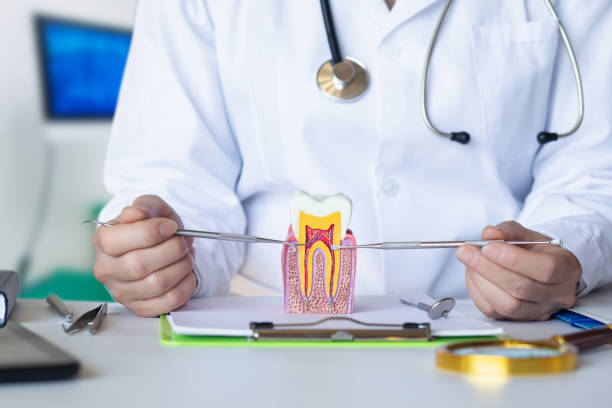 Best Same-Day Emergency Dental Services in Jacksonville, OR